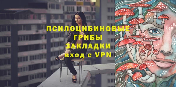 МДПВ Михайлов