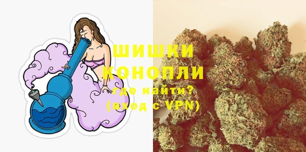 МДПВ Михайлов