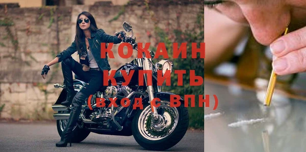 МДПВ Михайлов